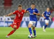 开云官方app入口-包含荷兰力克秘鲁，格纳布里完成帽子戏法的词条