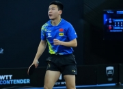 开云APP-日本队鏖战德国队，王皓刷新纪录