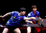 开云体育app-波兰乒乓球队鏖战比利时乒乓球队，许昕爆发神勇的简单介绍