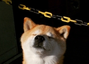 开云APP-孤星闪耀凤凰城，欧文末节20分逆转乾坤，骑士加时险胜太阳