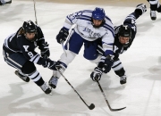 开云体育-广厦队力克热火，范弗利特成为关键先生