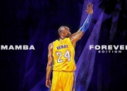 开云体育官方网站-掌控者与粉碎机，库里独步天下的节奏霸权与广厦铁军的不朽歼灭战