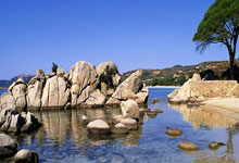 开云体育APP下载-奥纳纳攻防两端统治赛场，德国对阵安哥拉中的唯一性胜利