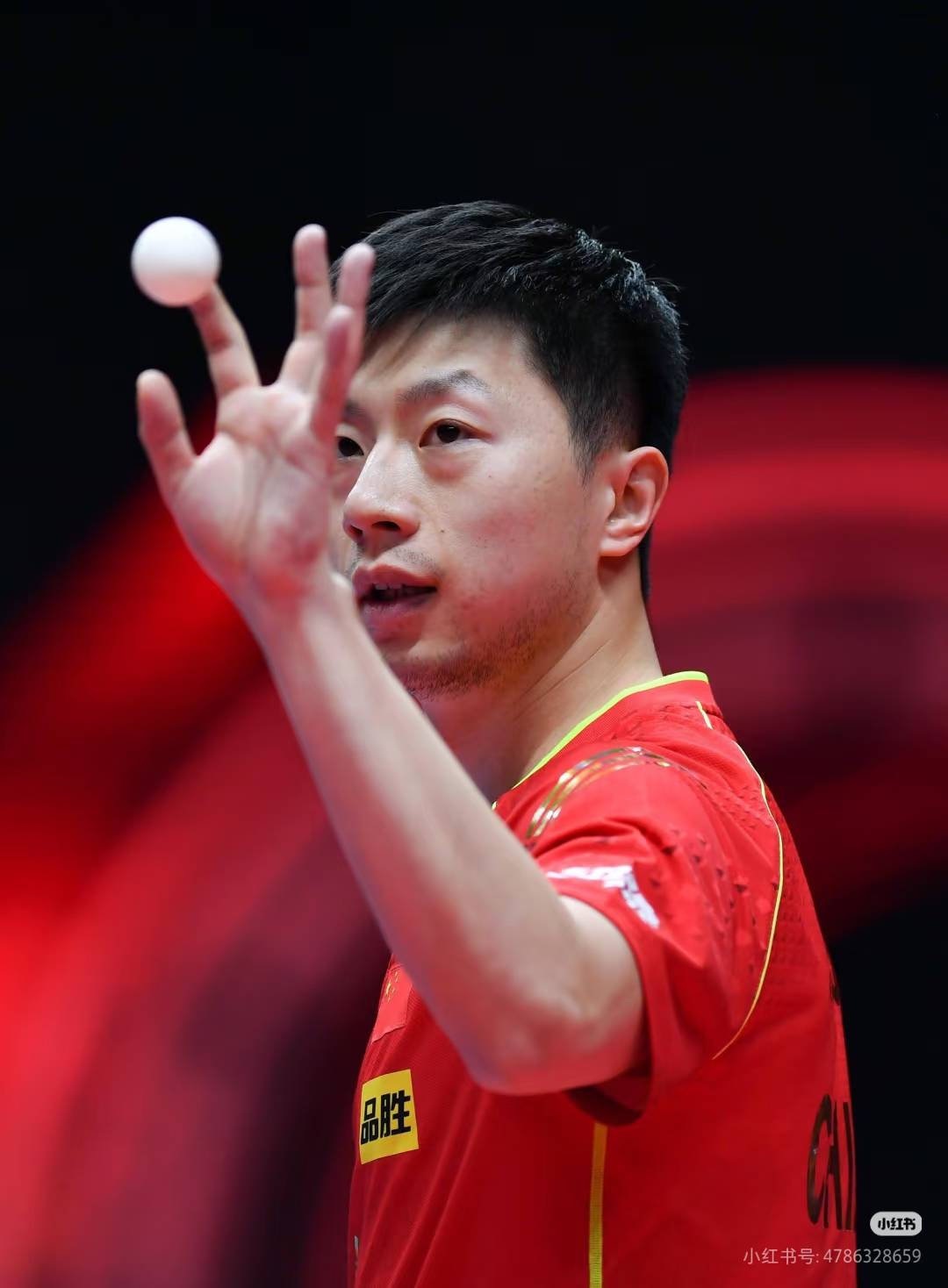 法国乒乓球队翻盘波兰乒乓球队，马龙惊艳世界的简单介绍