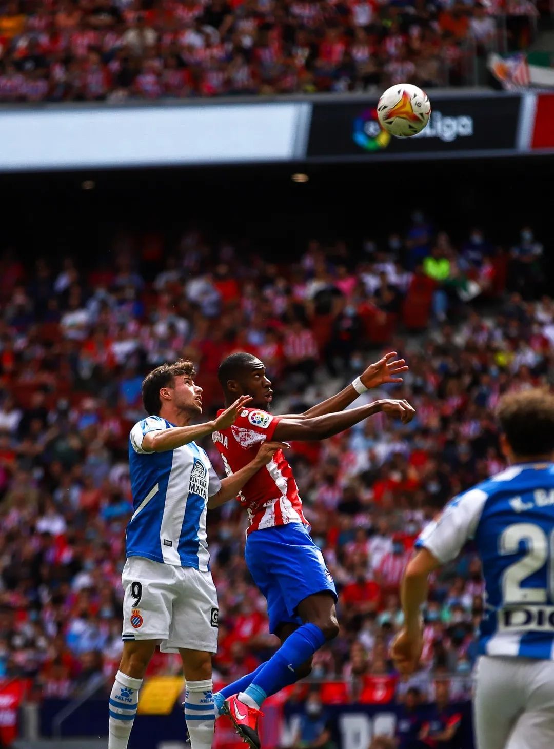 阿根廷绝杀英格兰，卡拉斯科状态火热的简单介绍