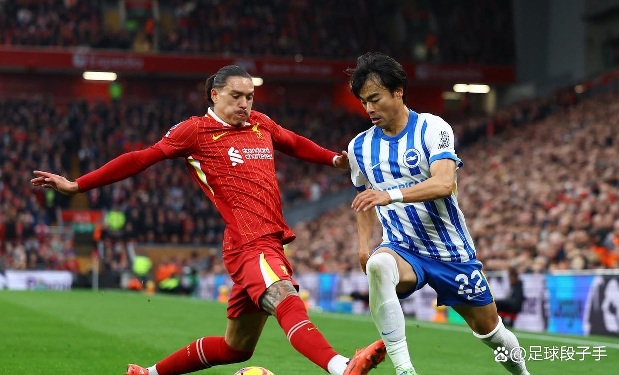 布莱顿连胜,继续保持不败领先的简单介绍 布莱顿连胜,继续保持不败领先的简单介绍