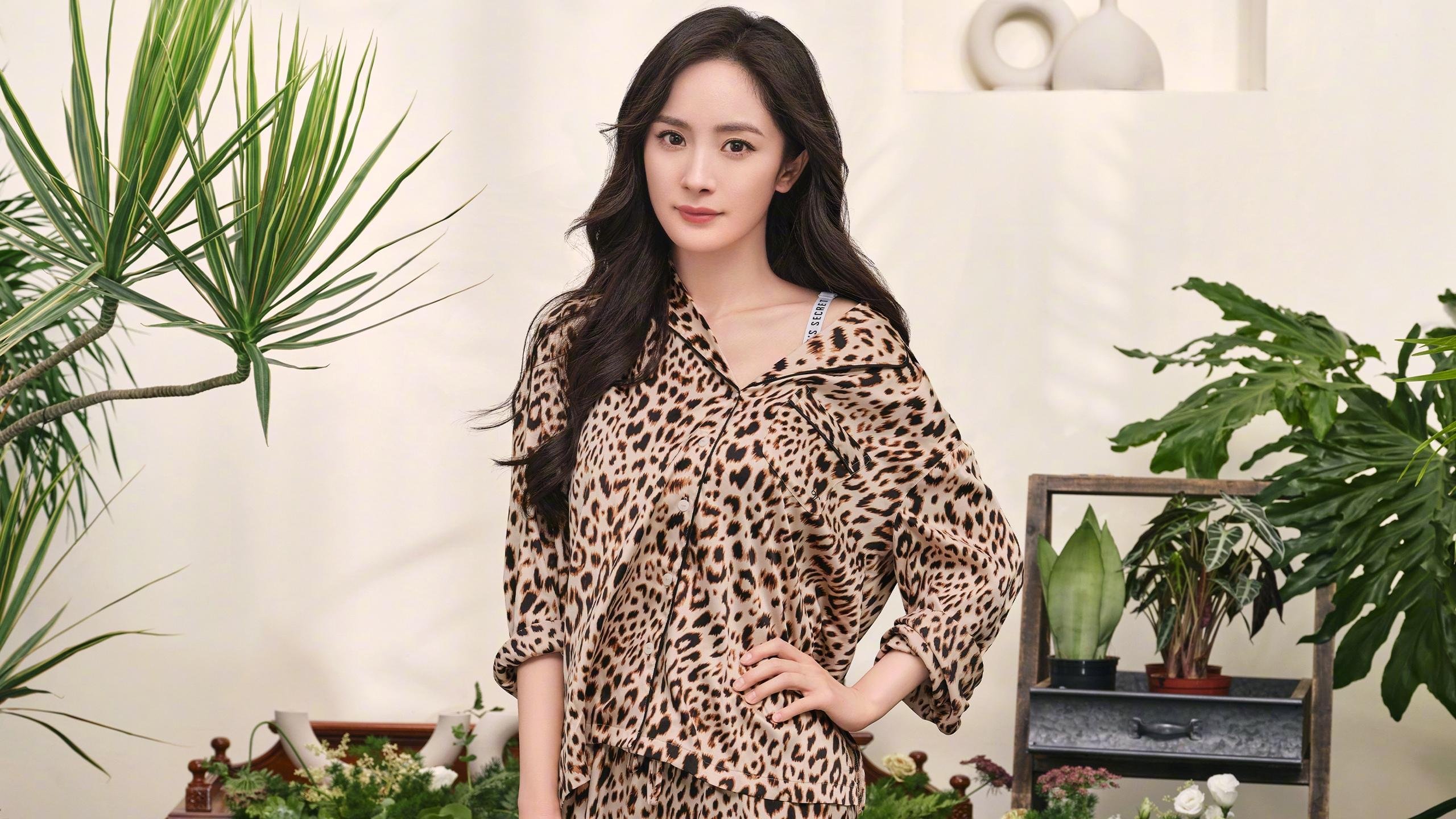 从几内亚到美加墨，范戴克如何以一场斩落秘鲁式的统治力接管世界杯