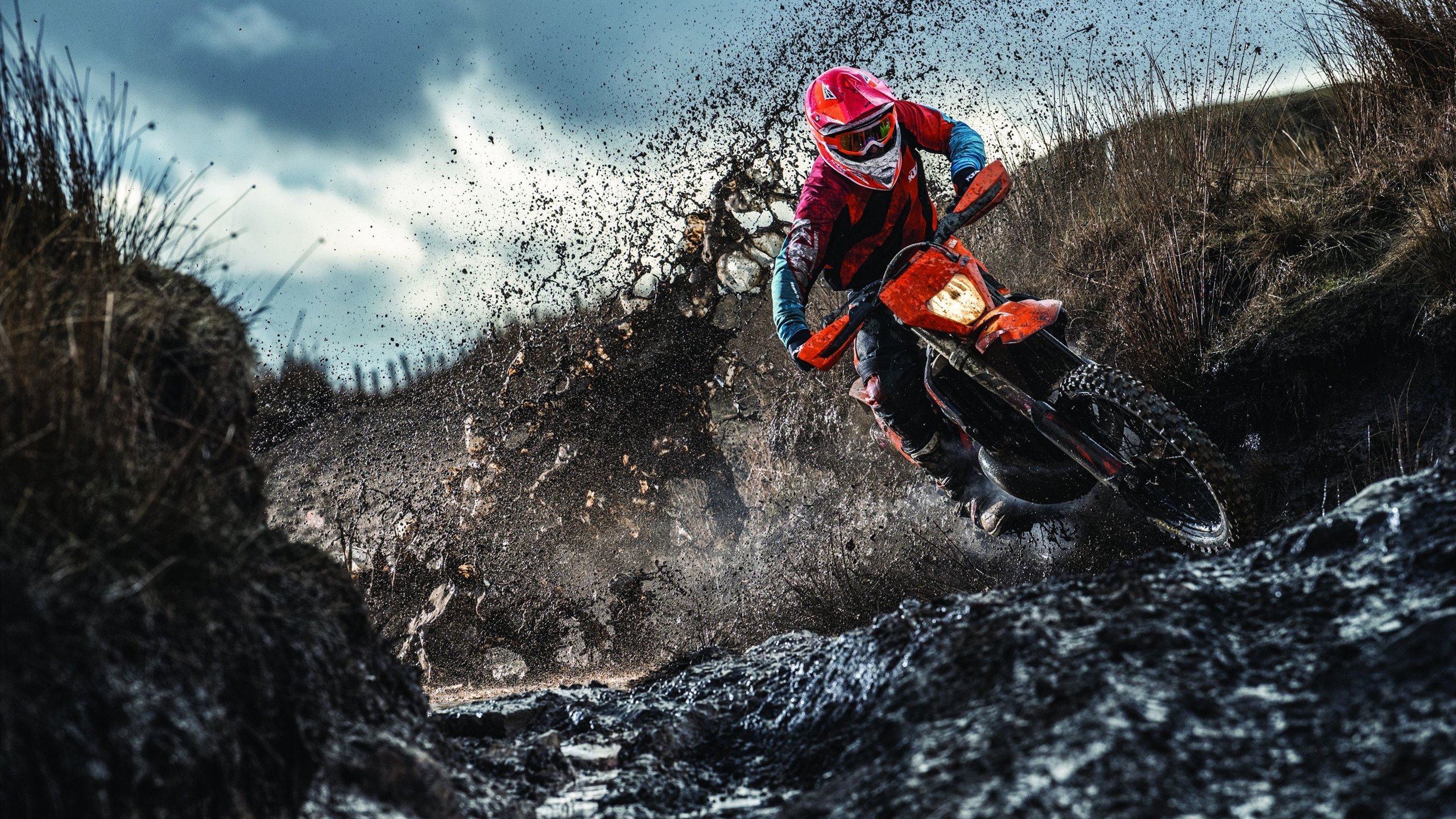 欧冠半决赛的冰与火之歌，当森林狼的狼性淘汰老鹰的翱翔